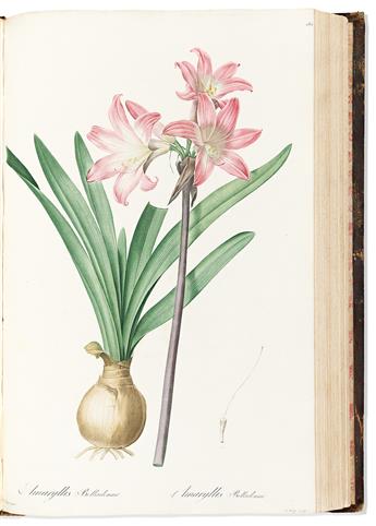 (BOTANICAL.) Pierre-Joseph Redouté. Les Liliacées (volumes 3 and 4).